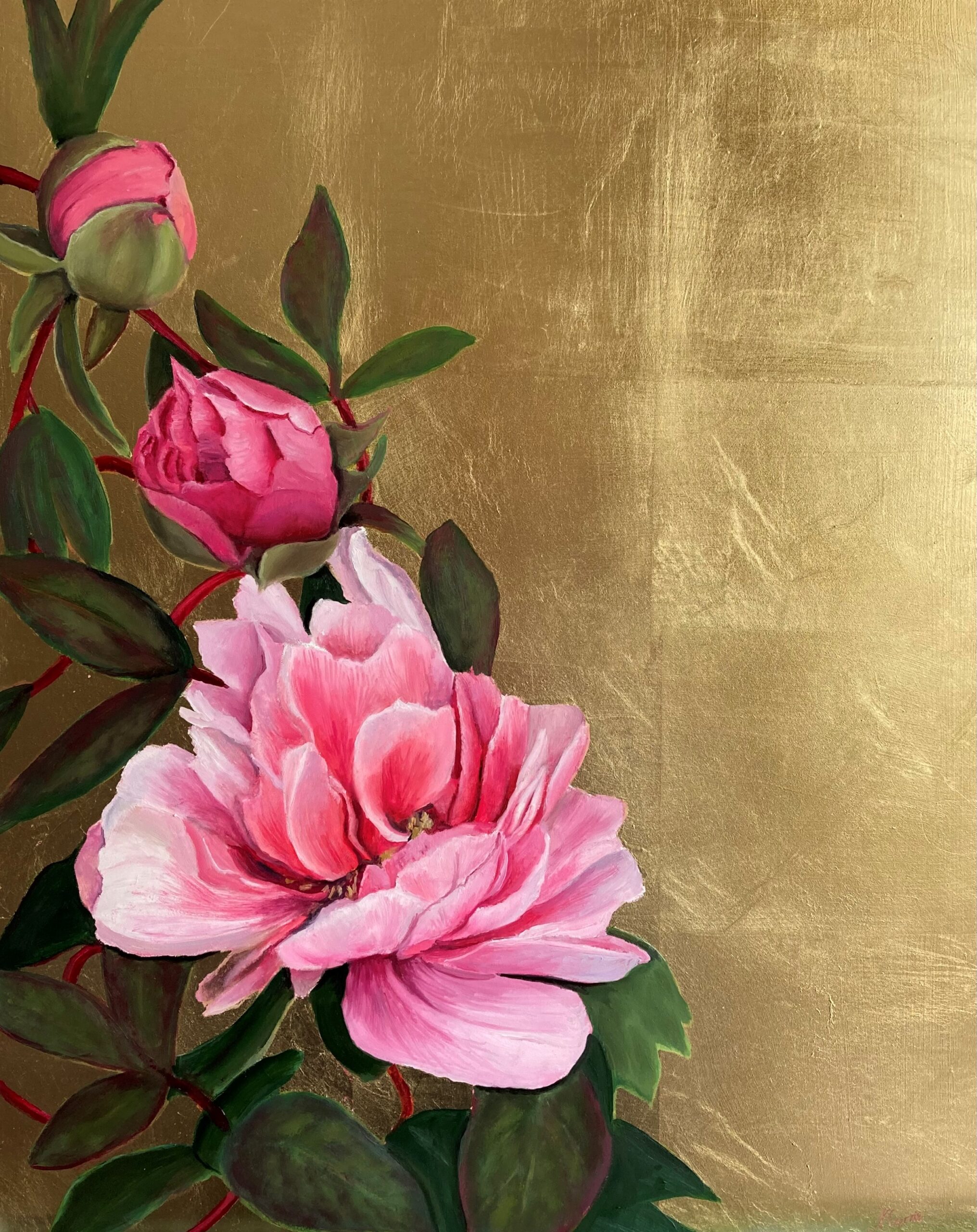 Spetchley Coral Peonies on Gold - Nicola Currie | WCA